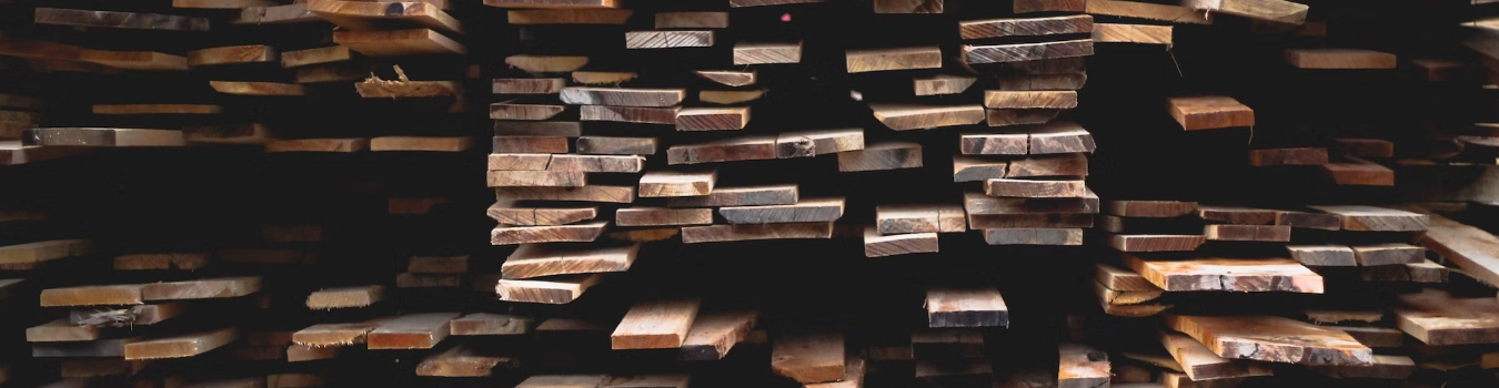 Types of Wood Species for Woodworking