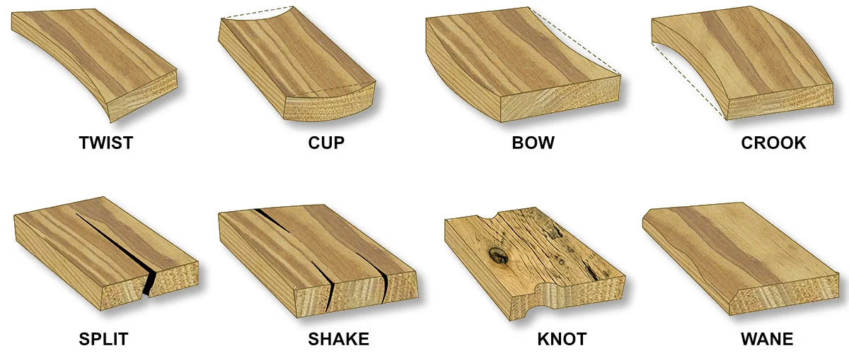 Types of Wood Species for Woodworking